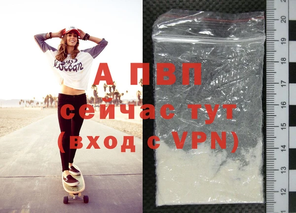 винт Абаза