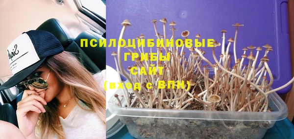 винт Абаза