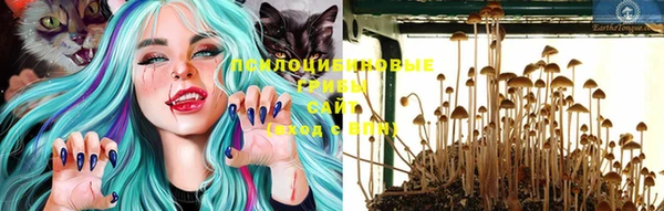 винт Абинск