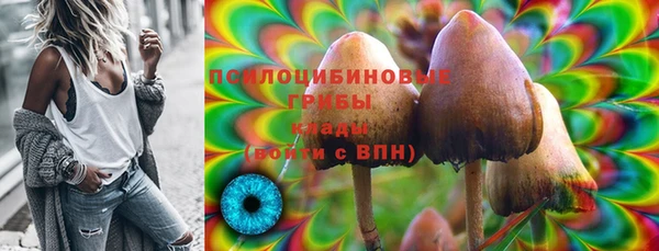 крисы Алексин