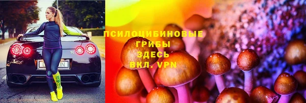 крисы Алексин