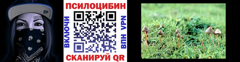 Галлюциногенные грибы мицелий  купить наркоту  Костерёво 