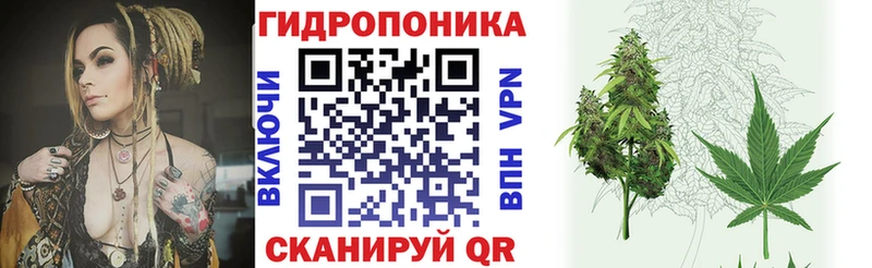 МАРИХУАНА White Widow  ОМГ ОМГ ONION  Костерёво  даркнет сайт 